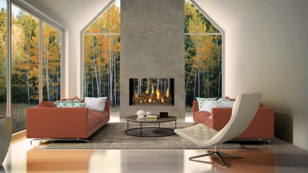 Timber Fire Collection - See-Thru Gas Fireplace - DaVinci Gas Fireplace