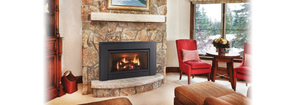 Regency - Energy E33  Gas Insert - Regency