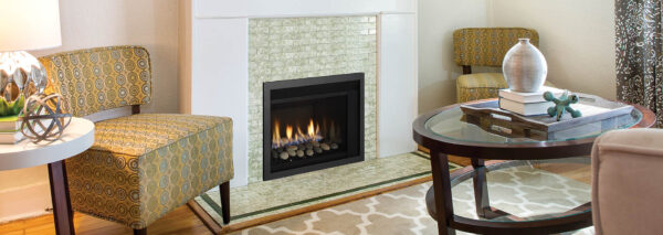 Regency - Horizon - HRI3E  Gas Insert - Regency