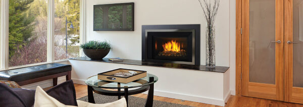 Regency - Horizon - HRI6E  Gas Insert - Regency