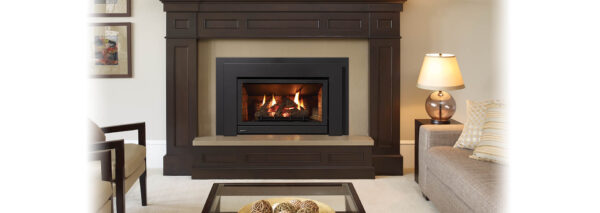 Regency - Energy U31  Gas Insert - Regency